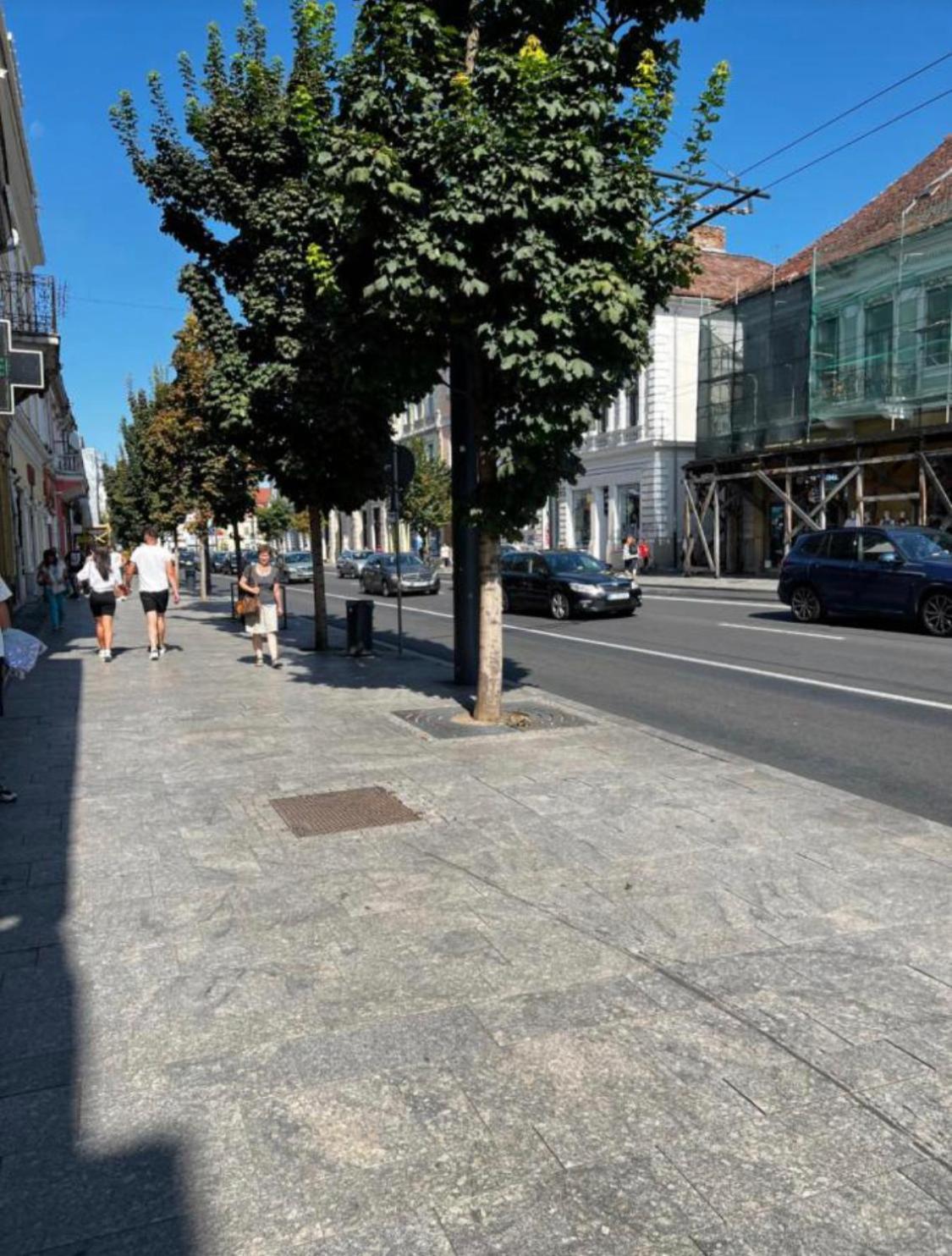 Ndl Downtown Leilighet Cluj-Napoca Eksteriør bilde
